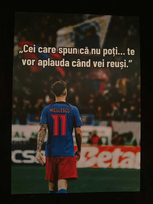 Poster fcsb  – test